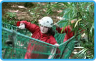 camp2-2010-1.jpg