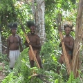 indonesia-auf-der-jagd.jpg